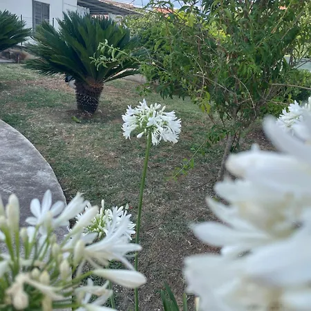 Venkovský dům A Casa Di Ale